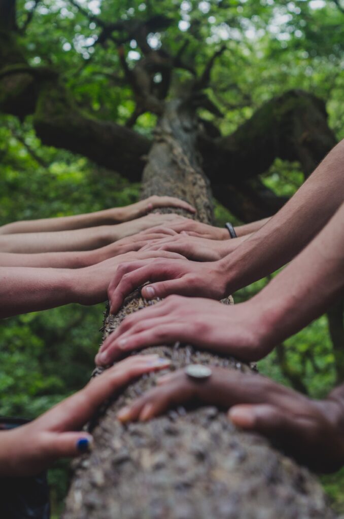 How to Assess a Managers Approach to Equity and Inclusion Issues