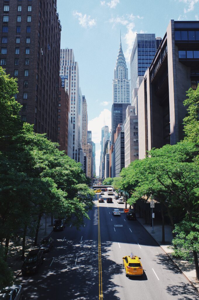 Assistant Professor of Graphic Design at State University of New York at New Paltz, NY