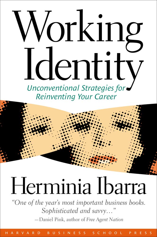 Working Identity: Unconventional Strategies for Reinventing Your Career     Paperback – January 1, 2004