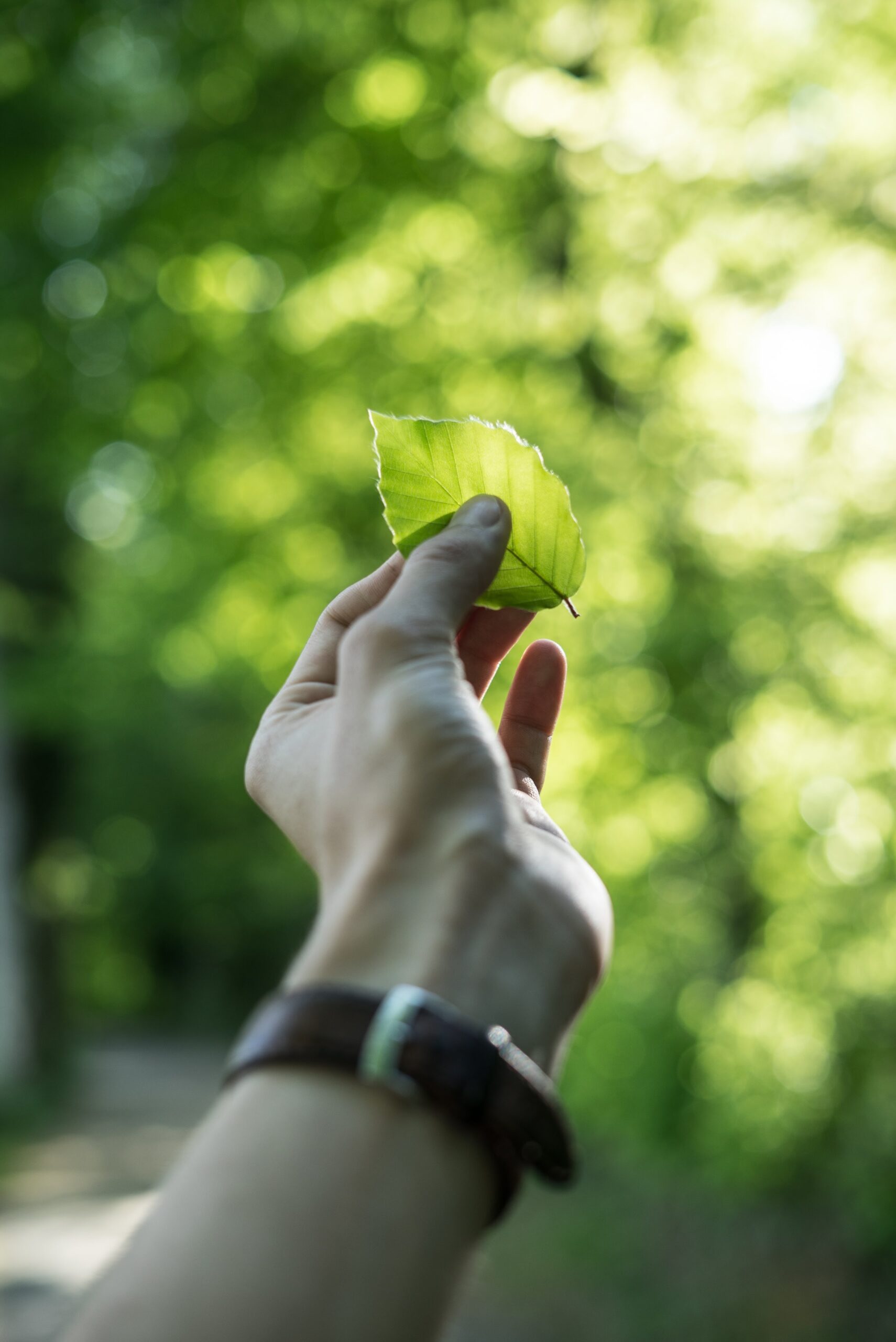 Environmental Jobs in Holland, MI