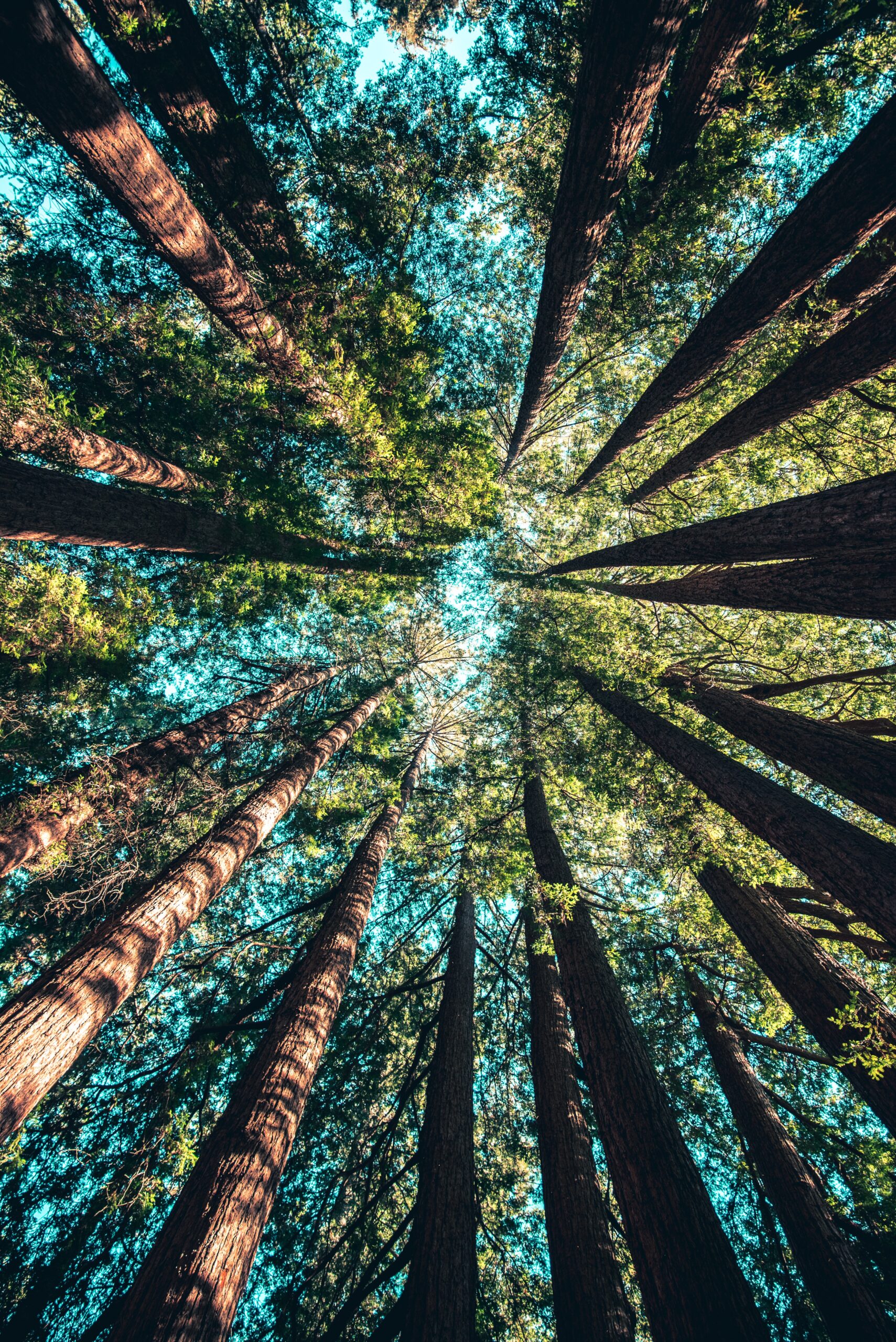 Environmental Jobs in Holland, MI