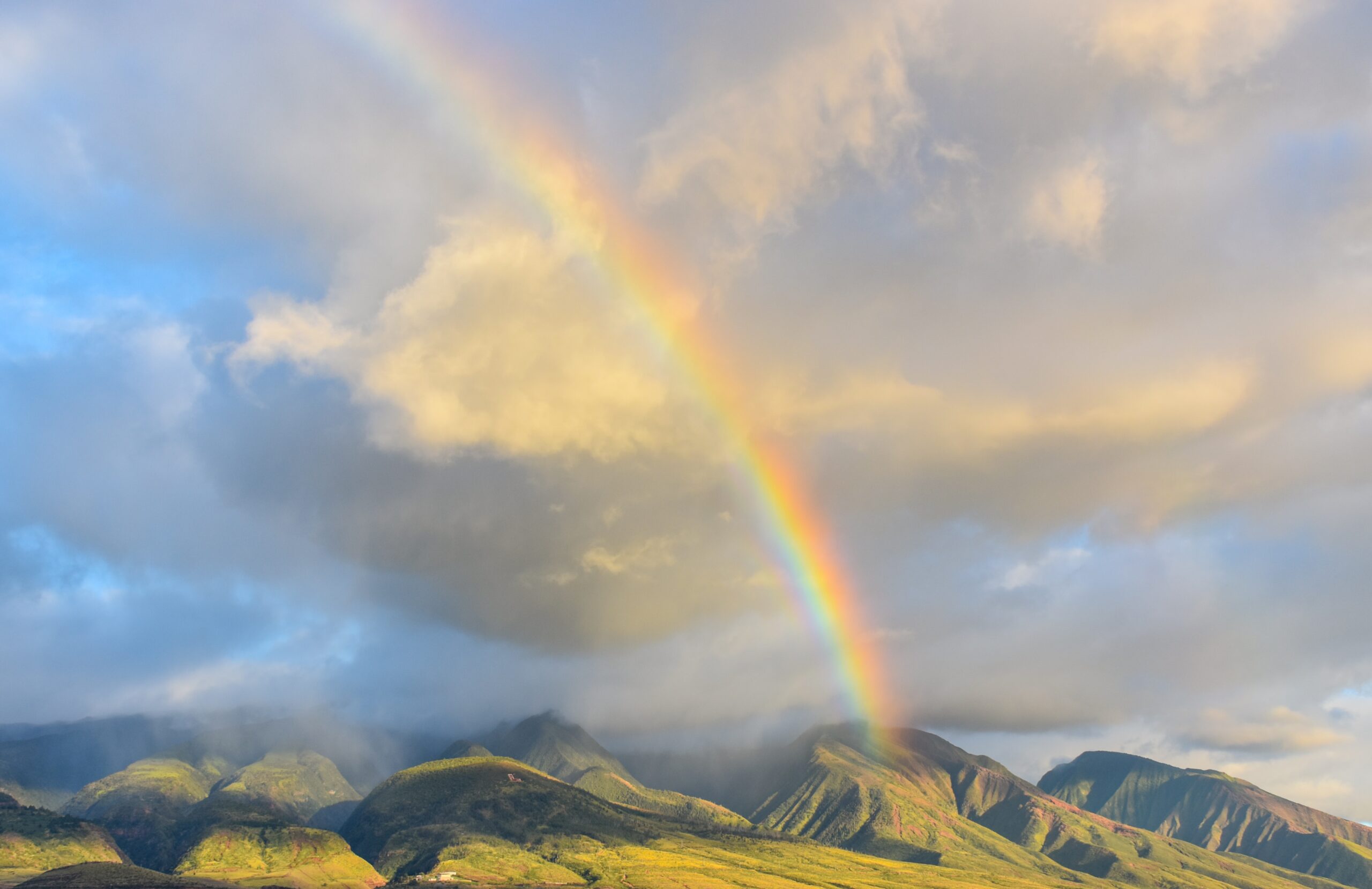 Network Engineer Site Lead in Honolulu, Hawaii with TekSynap
