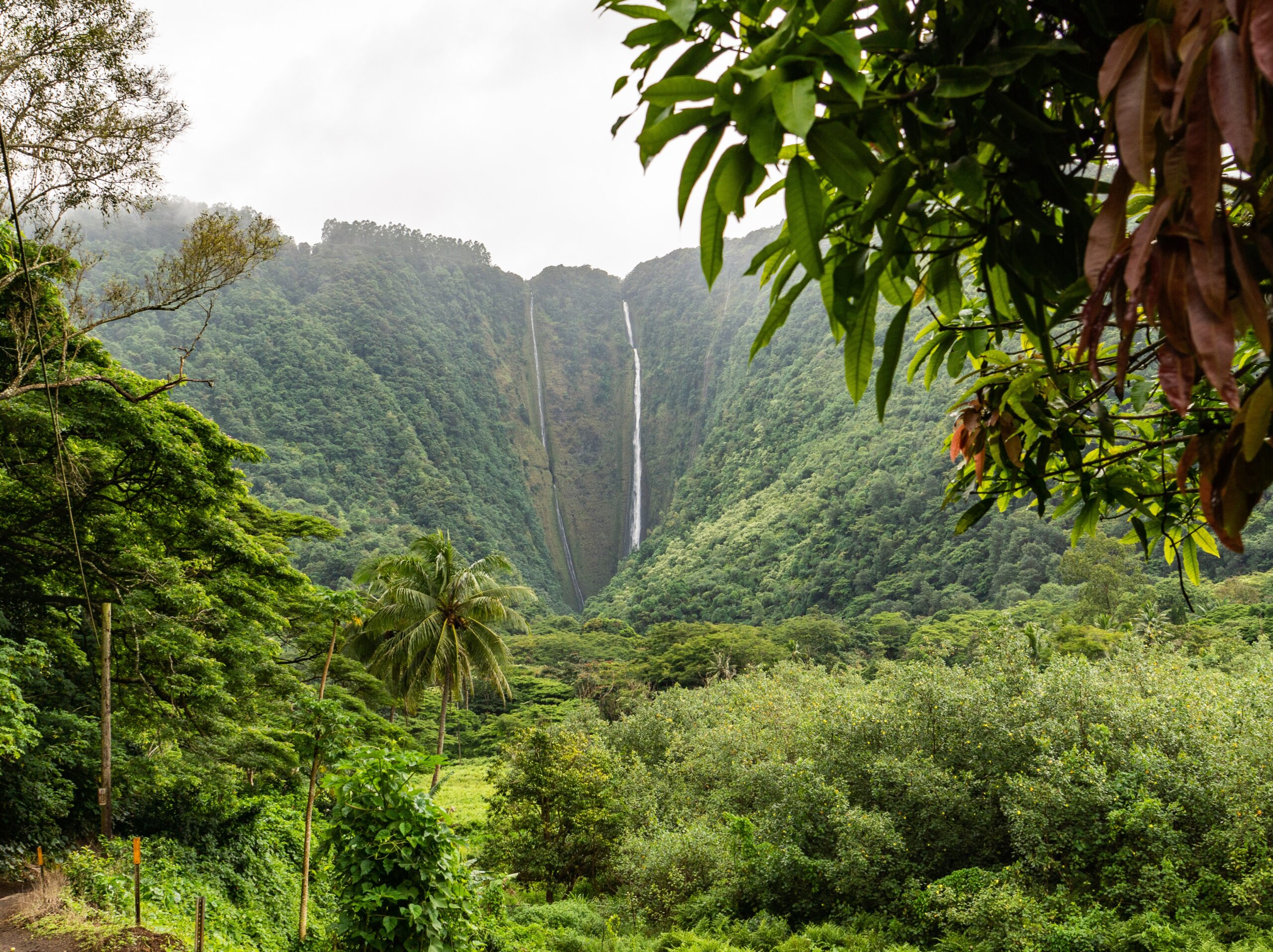 Network Engineer Site Lead in Honolulu, Hawaii with TekSynap