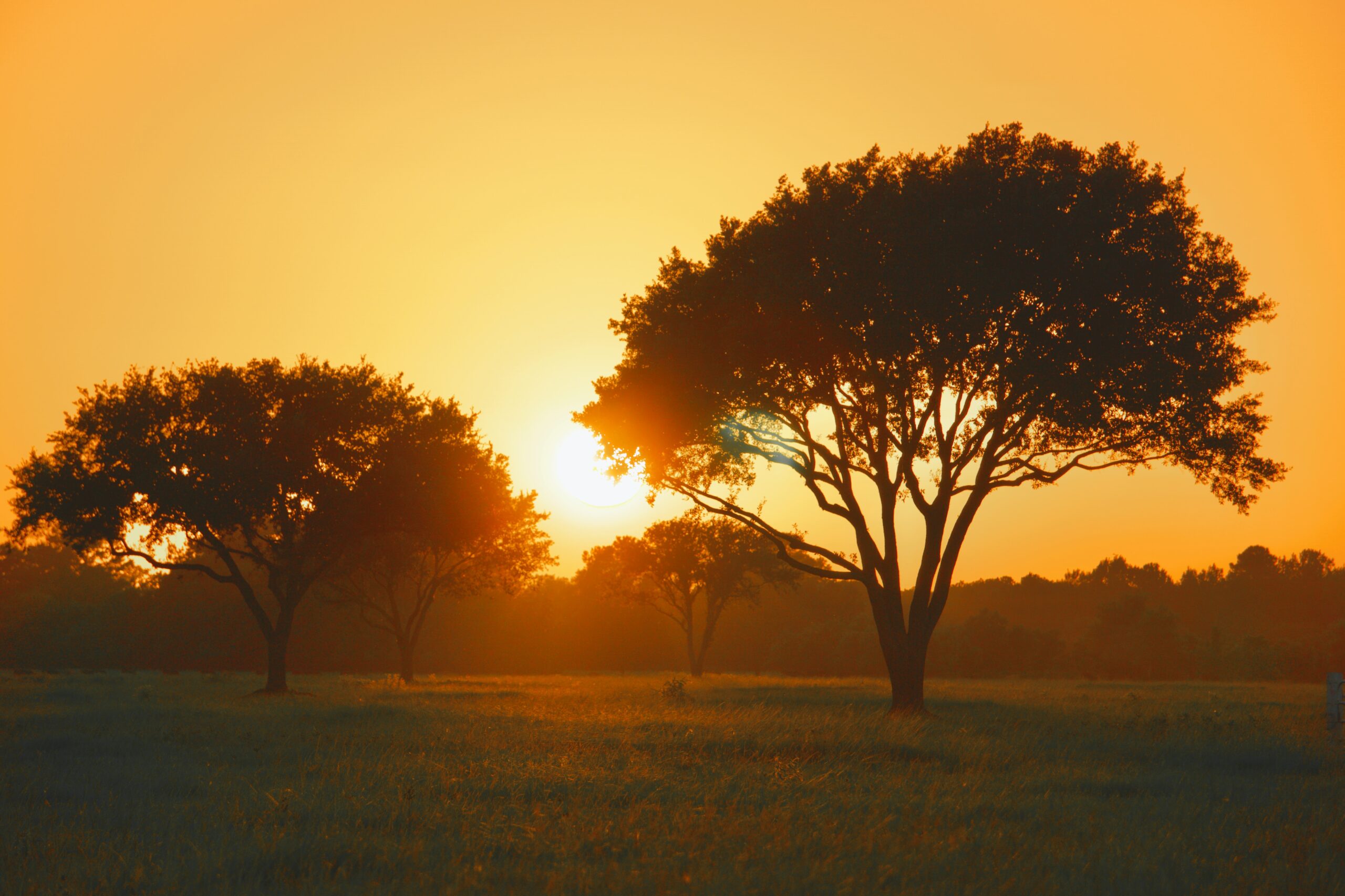 Physical Therapist Job at Dyess AFB, Texas