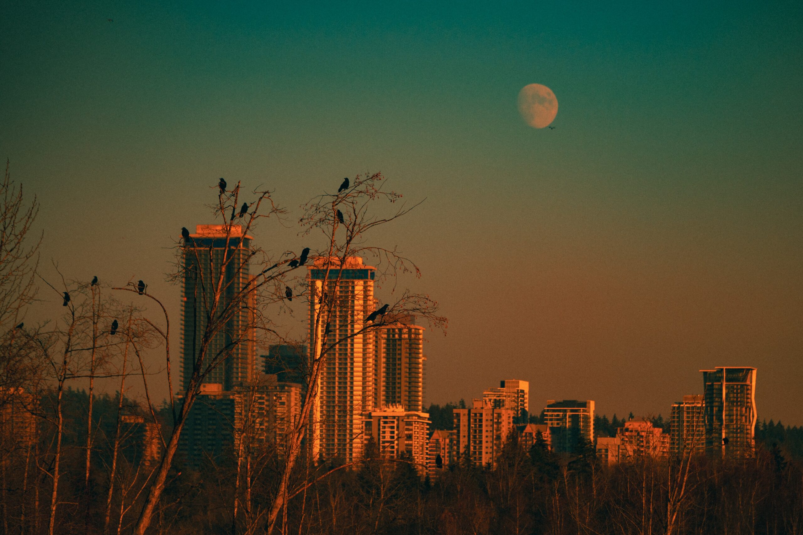 Staff Interaction Designer (IxD) (UX/UI) (Hybrid in Burnaby, BC. Open to Relo)