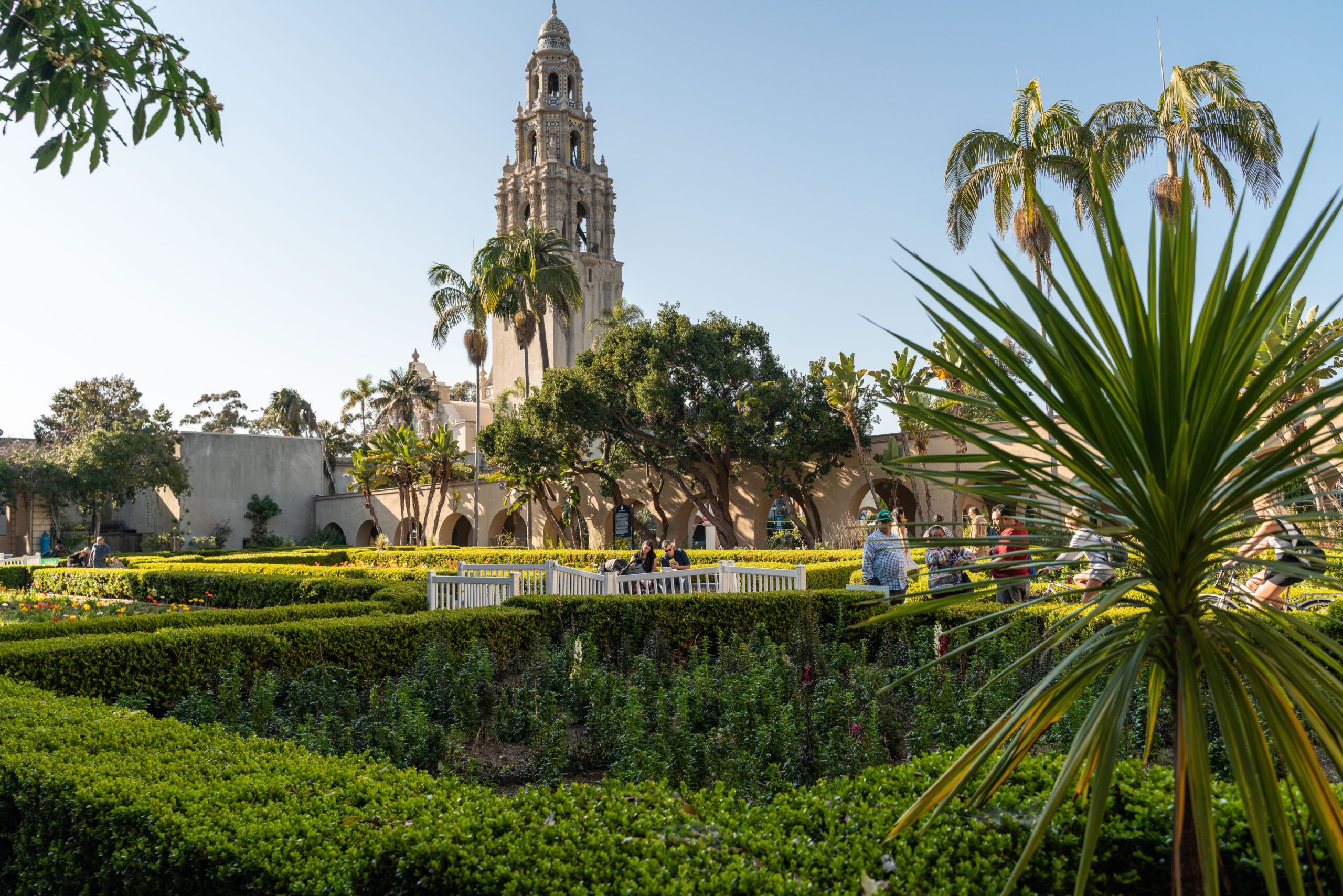 Associate - Office Jobs in San Diego, CA