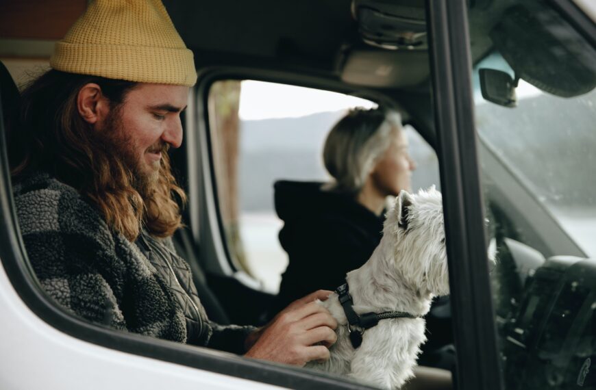 How Many Jobs Are Available In Trucking Freight/courier Services