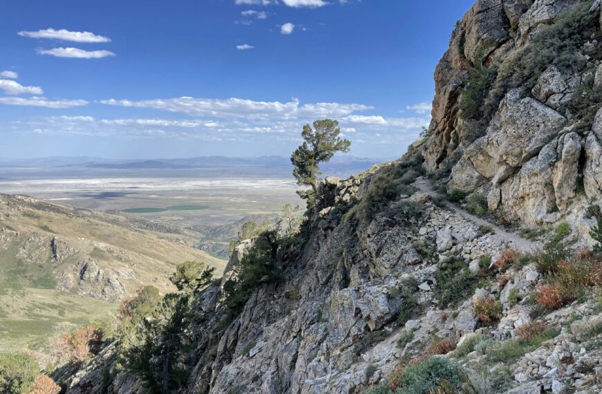 City Driver in Elko, NV