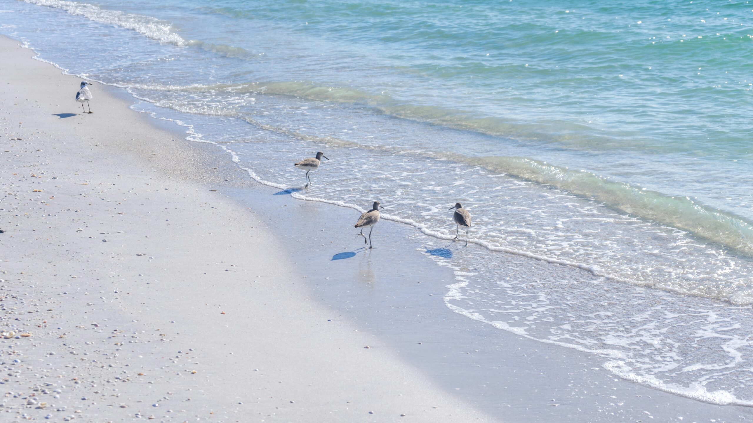What Jobs Hire At 15 In Florida