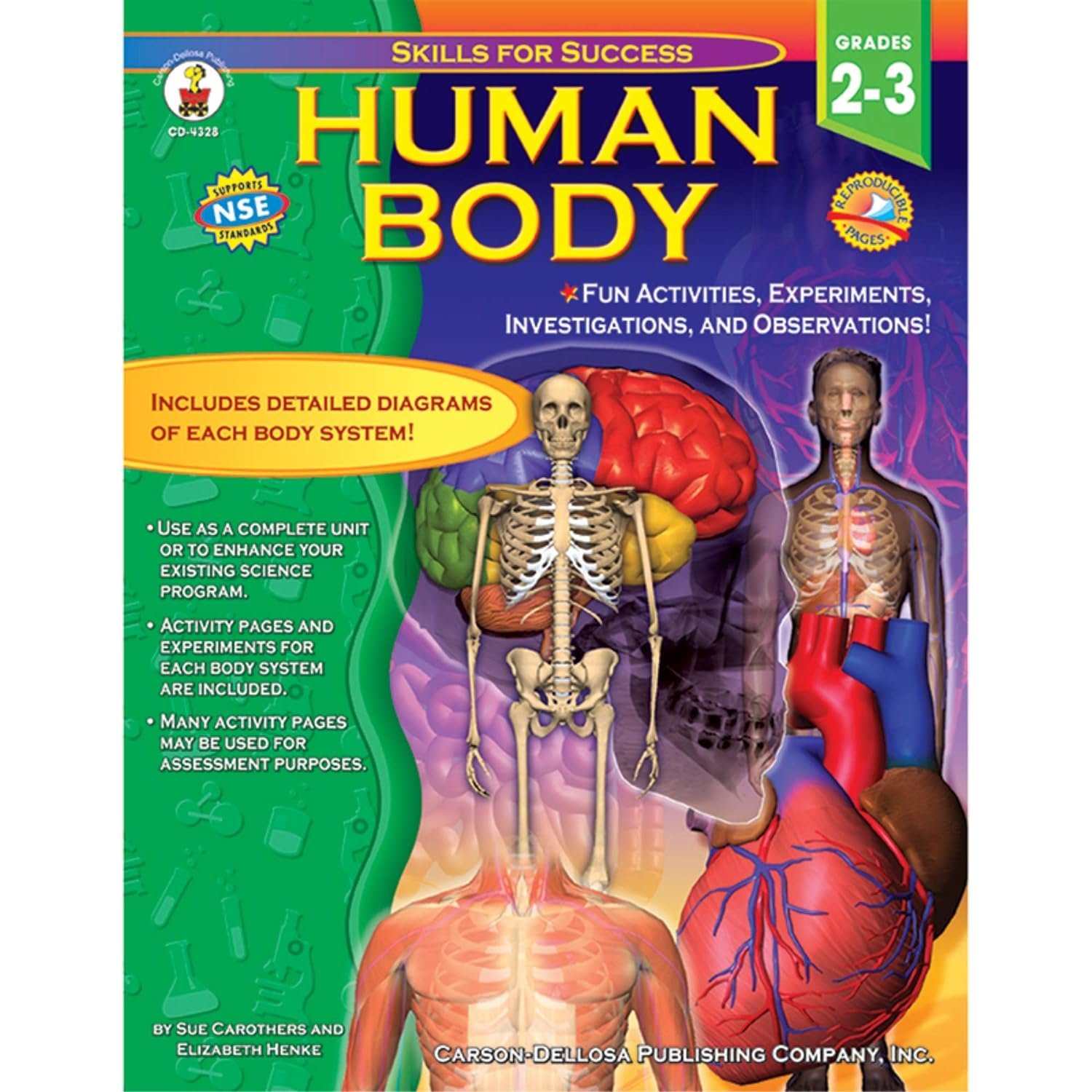 Human Body, Grades 2-3 Paperback Review