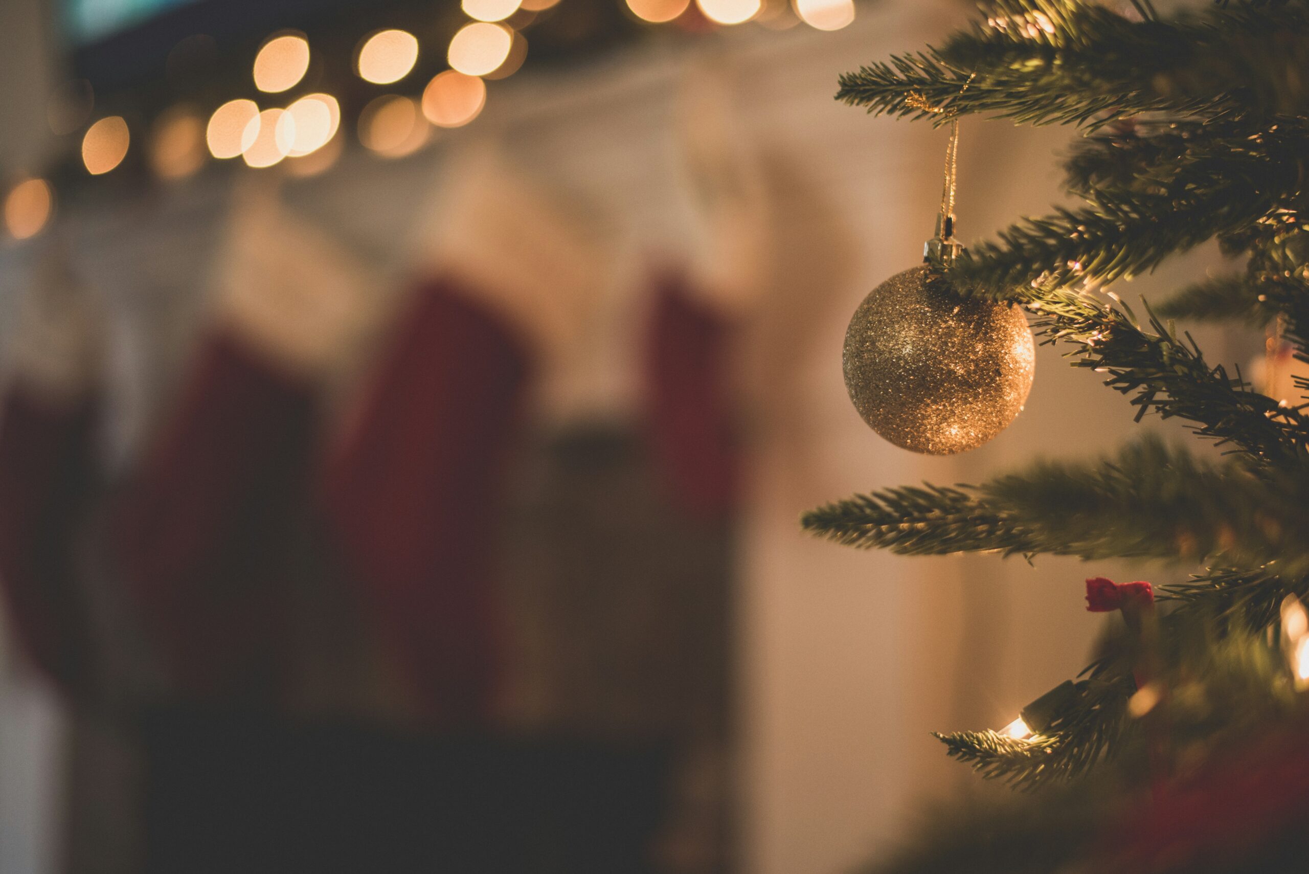 Seasonal Delivery Support Team Member