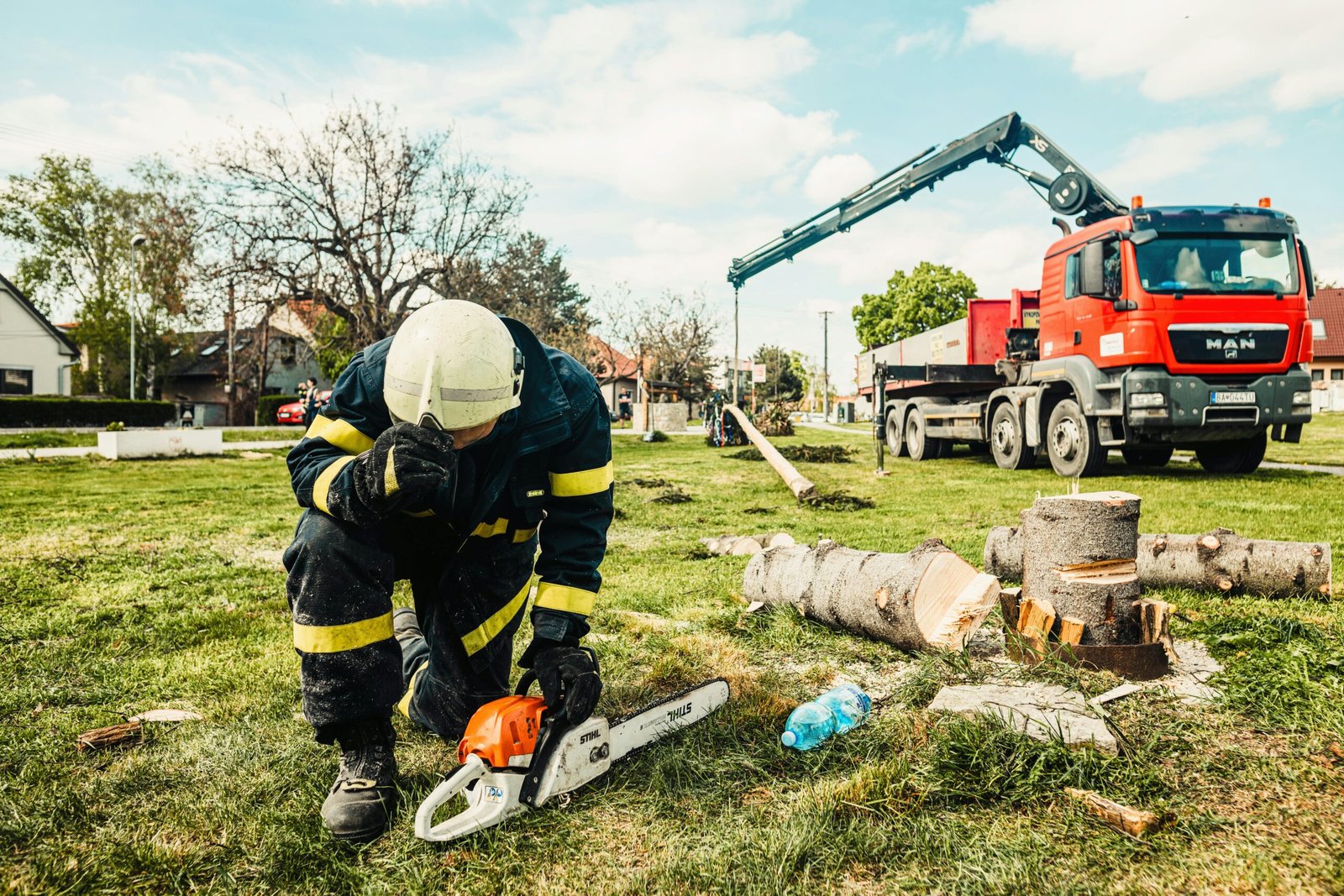 Certified Arborist – TreeNewal